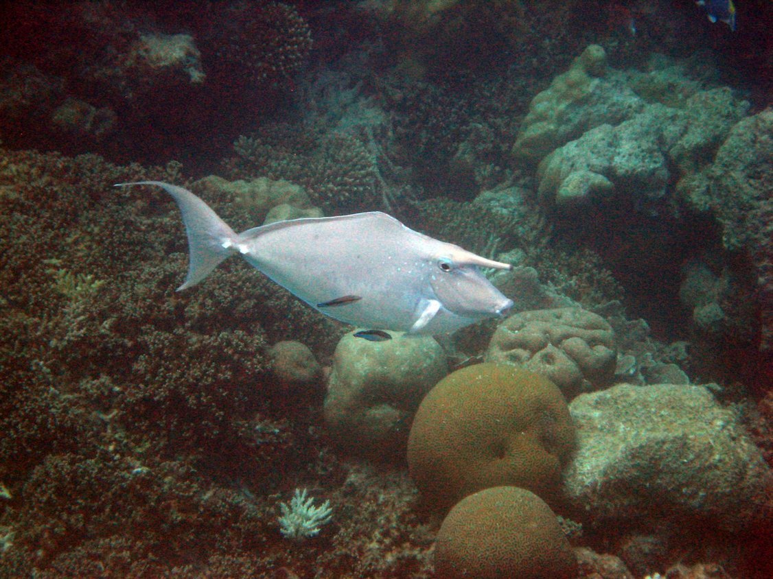 Photo00131